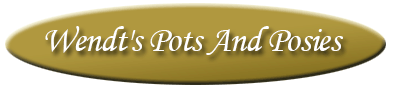 Wendt's Pots And Posies